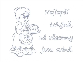 NPO108 kuchařka 50x70 cm plátno